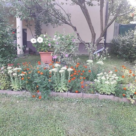 Kuca Za Odmor Bajtica Villa Jesenovec Esterno foto