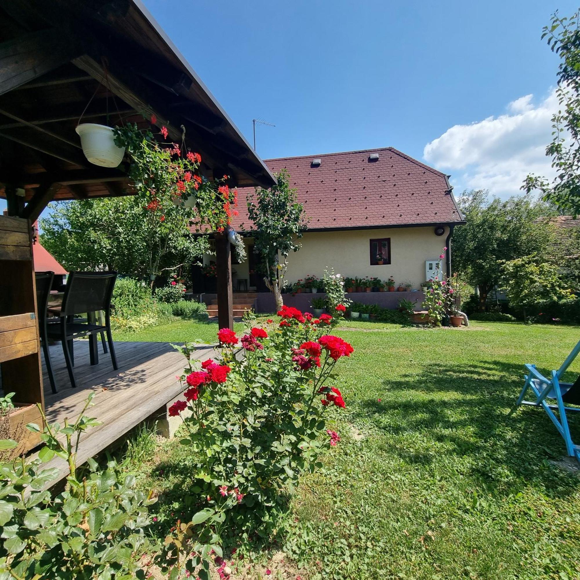 Kuca Za Odmor Bajtica Villa Jesenovec Esterno foto