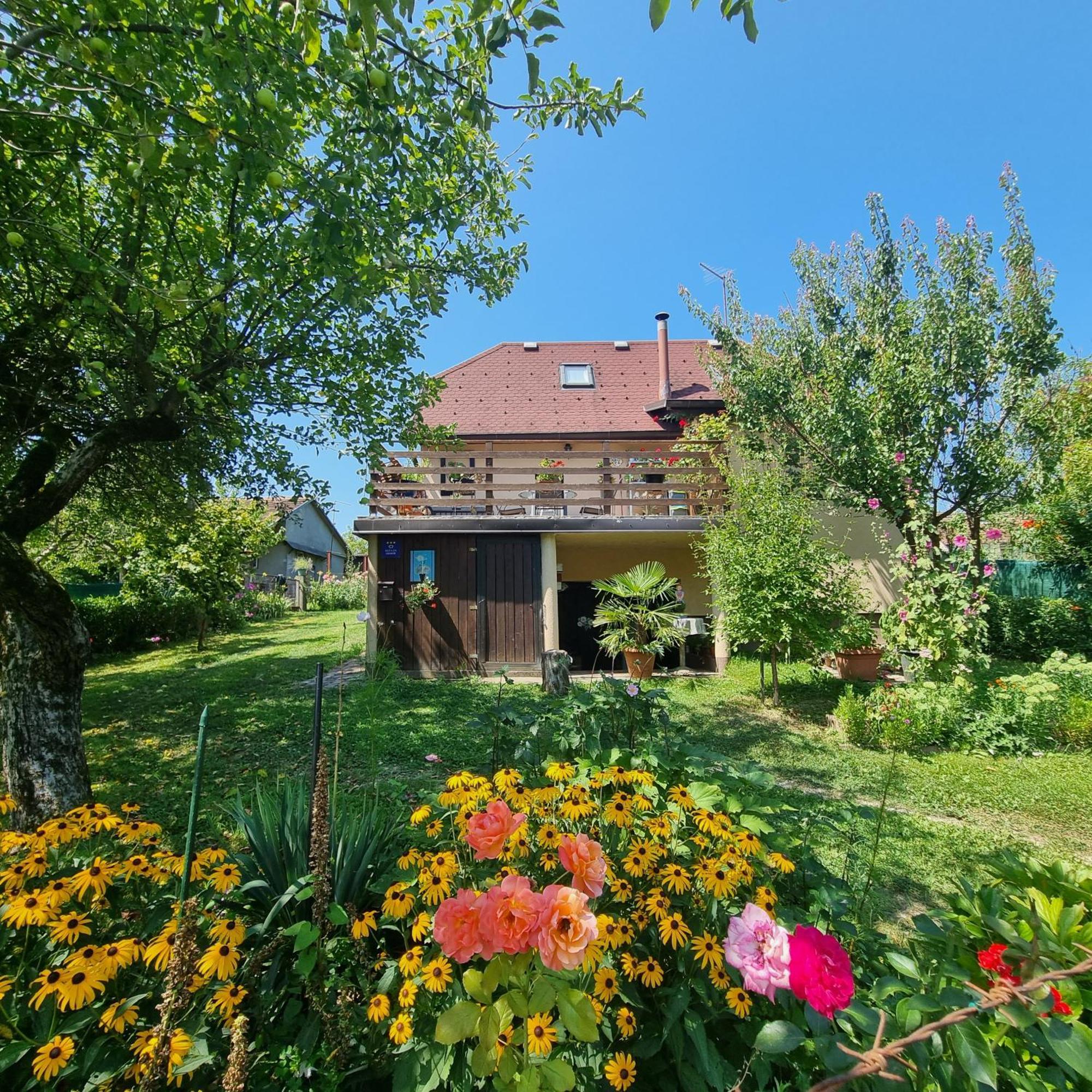 Kuca Za Odmor Bajtica Villa Jesenovec Esterno foto