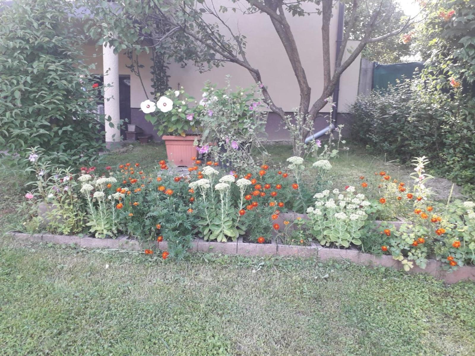 Kuca Za Odmor Bajtica Villa Jesenovec Esterno foto